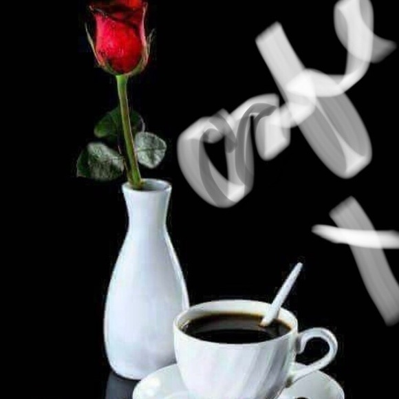 Meet your Posher, Susana - Picture 1 of 1